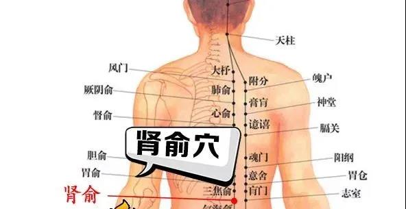 1591301118562330.jpg 微信图片_20200605040500.jpg